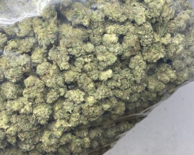 LIME SKUNK smalls (EXOTIC OZ DEAL!) - Image 4